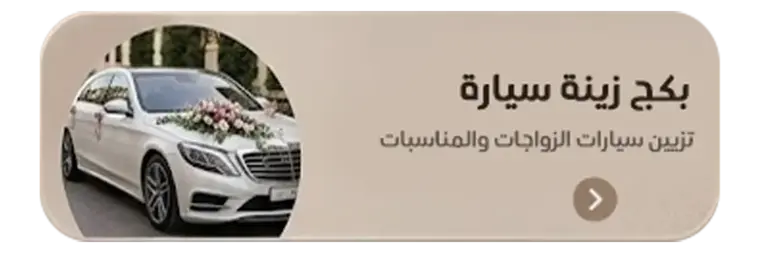 بكج زينة سيارة